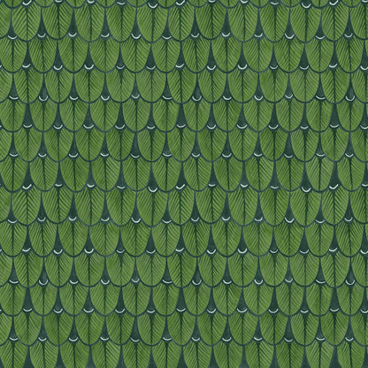 Narina Wallpaper Ardmore Design