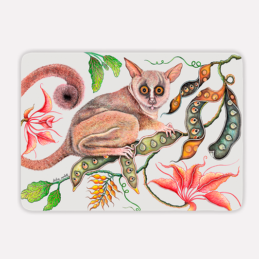 Camp Critters Bush Baby Chalk Pair (Hard Board Placemats )