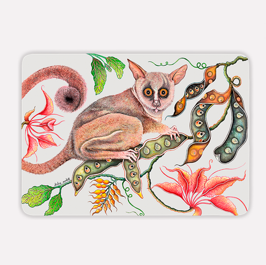 A hardboard placemat featuring an intricate illustration of a bush baby with wide, expressive eyes, perched on a branch surrounded by delicate seed pods and vibrant pink flowers, set against a soft chalk-white background.