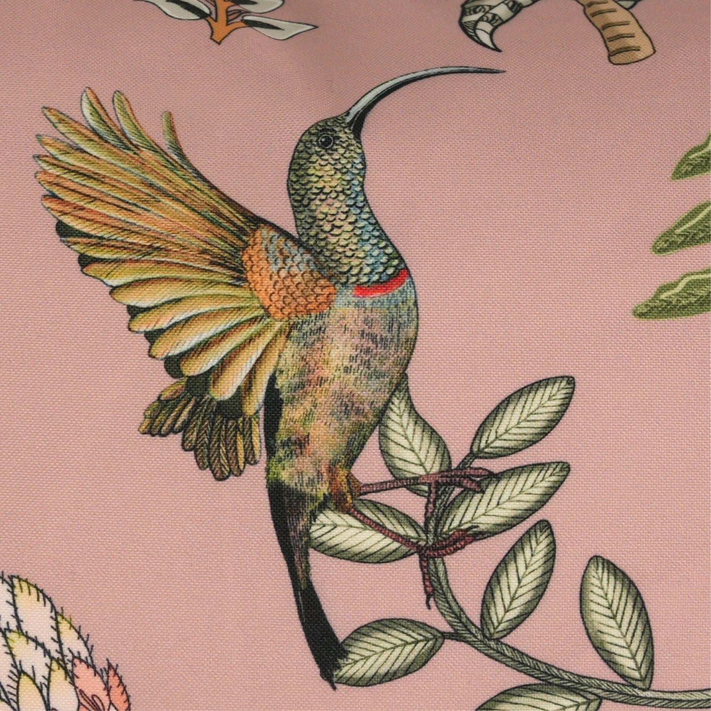 Protea Garden Magnolia Outdoor Cushion Cover