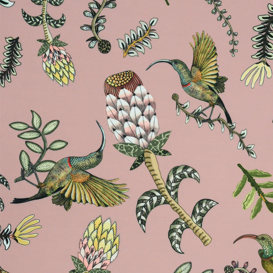 Protea Garden Outdoor in Magnolia