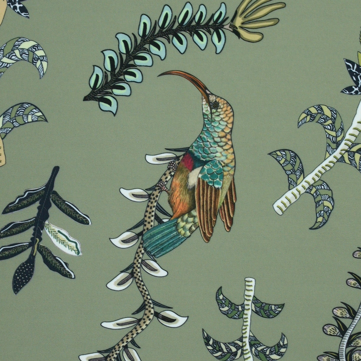 Protea Garden Outdoor in Delta