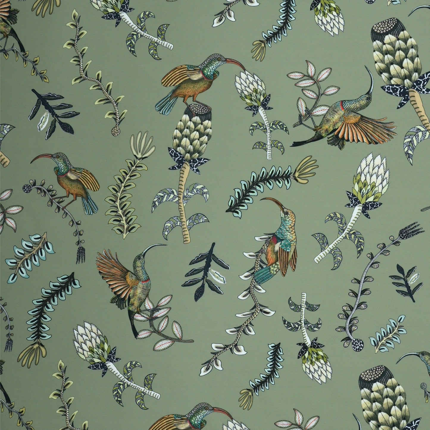 Protea Garden Outdoor in Delta