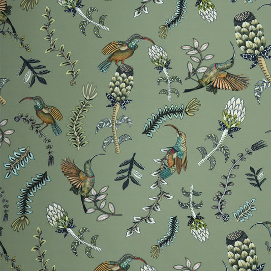 Protea Garden Outdoor in Delta