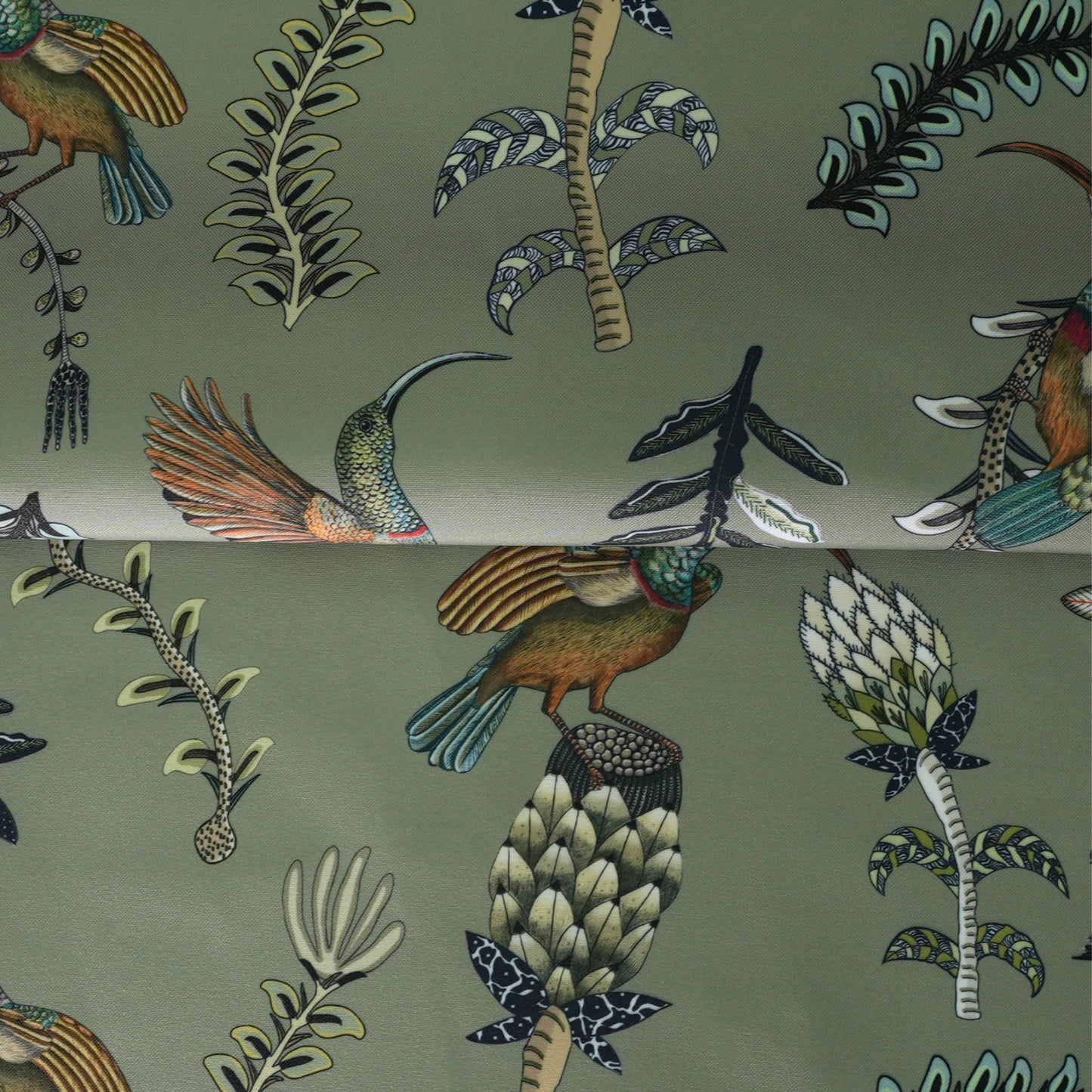 Protea Garden Outdoor in Delta