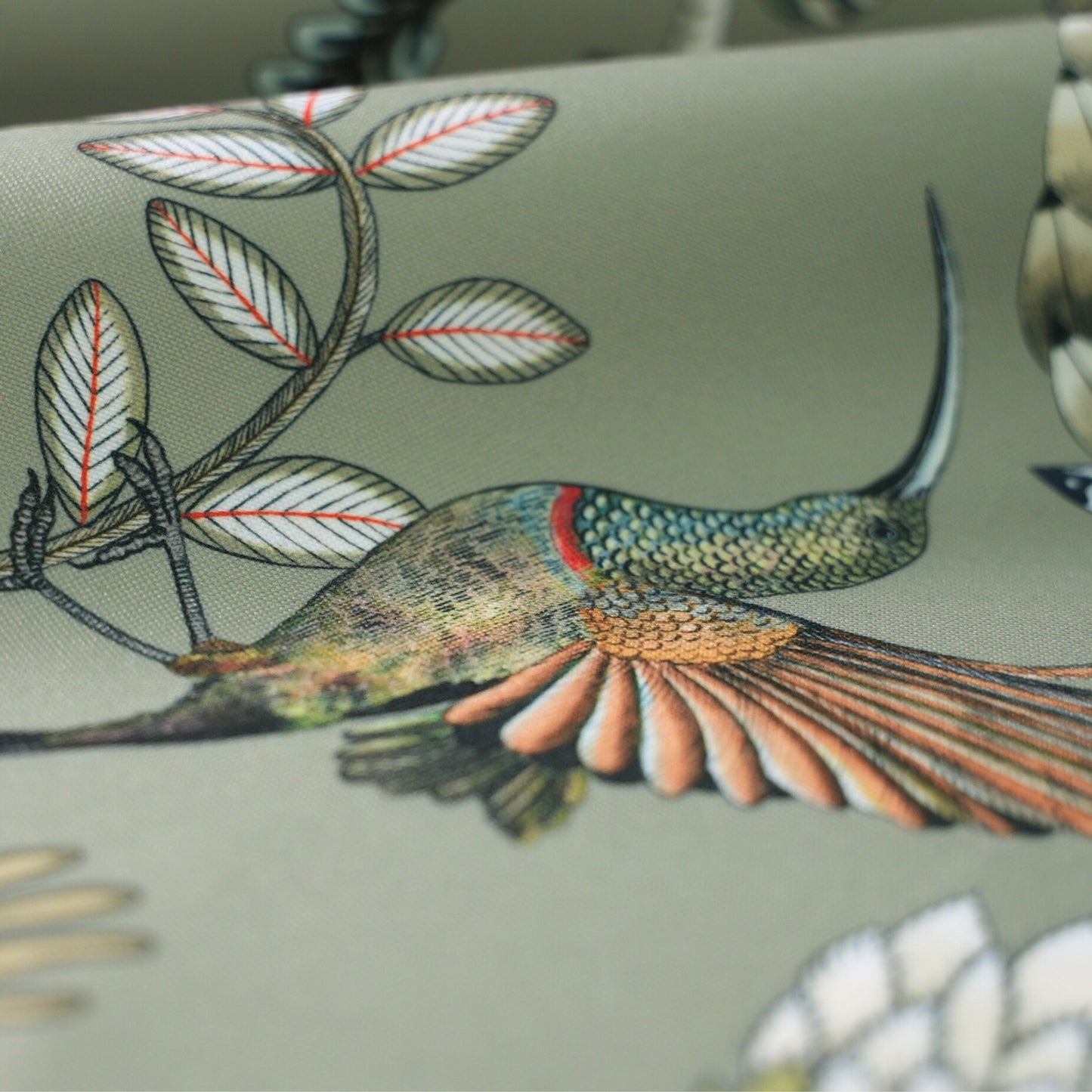 Protea Garden Outdoor in Delta