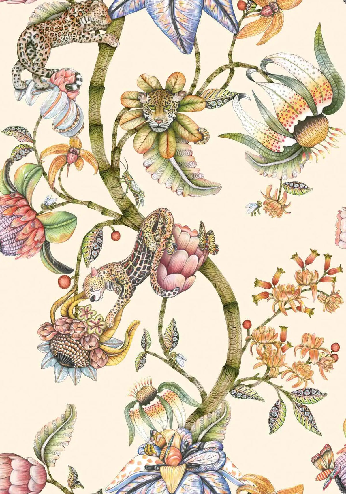 Protea Panthera Wallpaper Ardmore Design