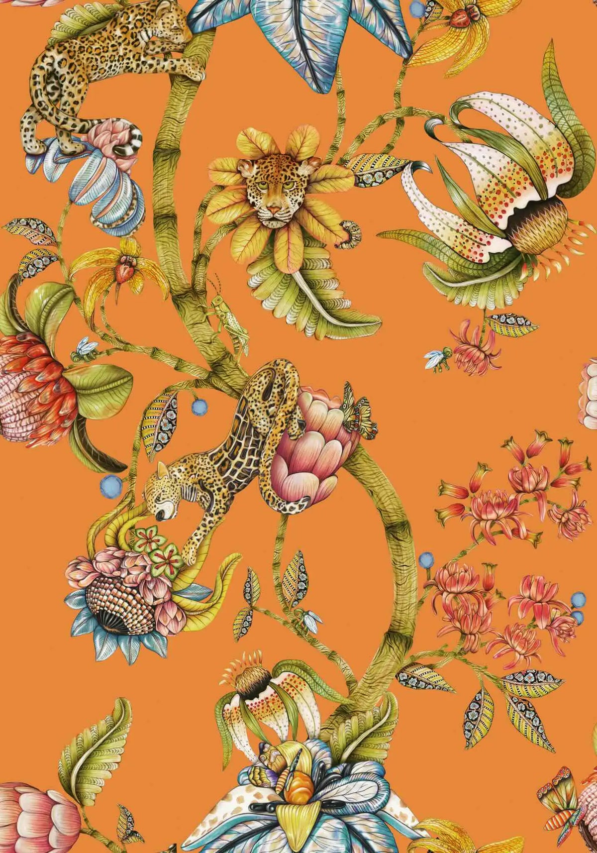Protea Panthera Wallpaper Ardmore Design