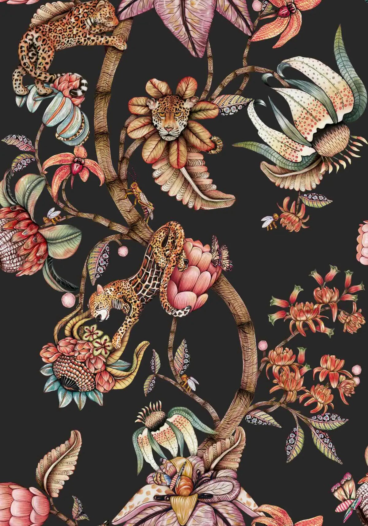 Protea Panthera Wallpaper Ardmore Design