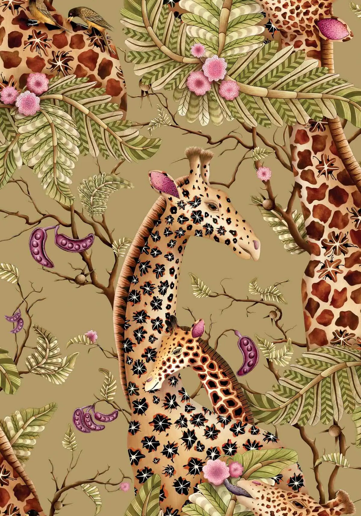 Royal Giraffe Wallpaper Ardmore Design