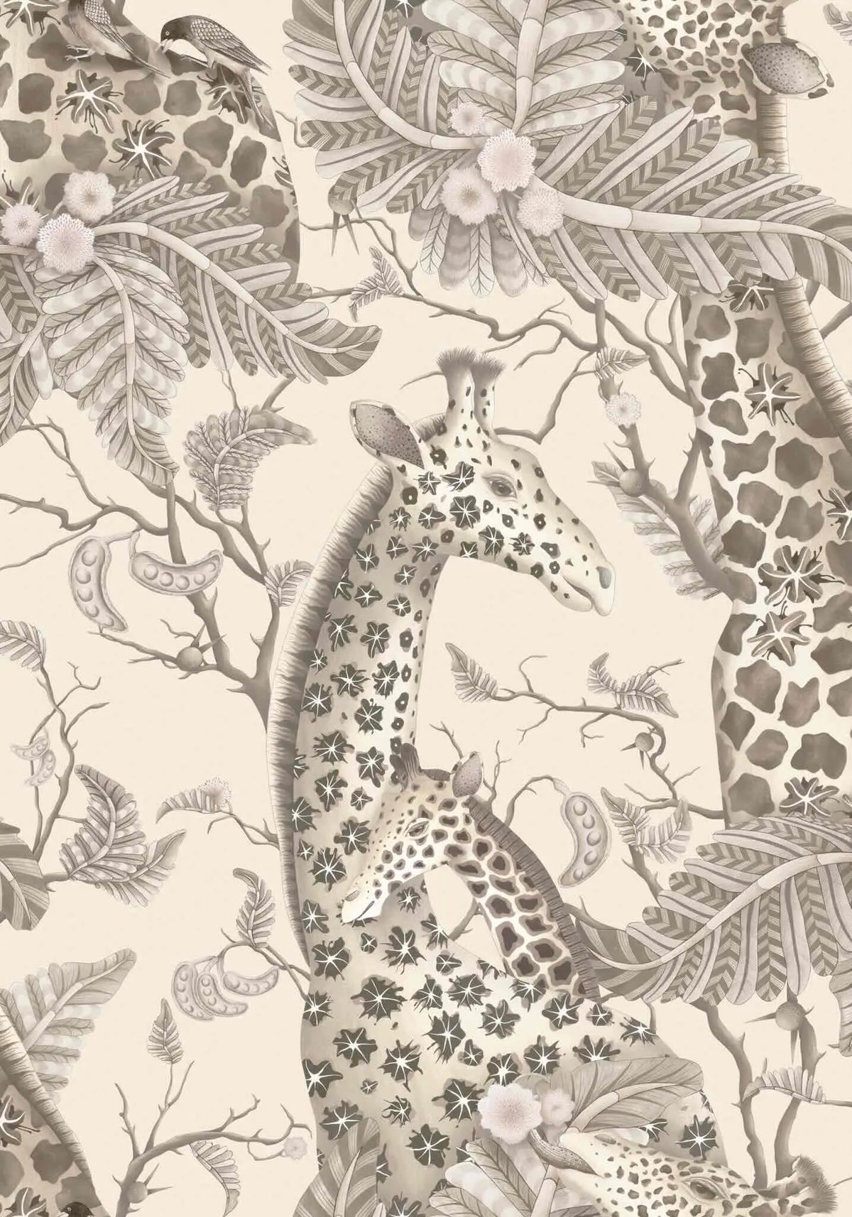 Royal Giraffe Wallpaper Ardmore Design
