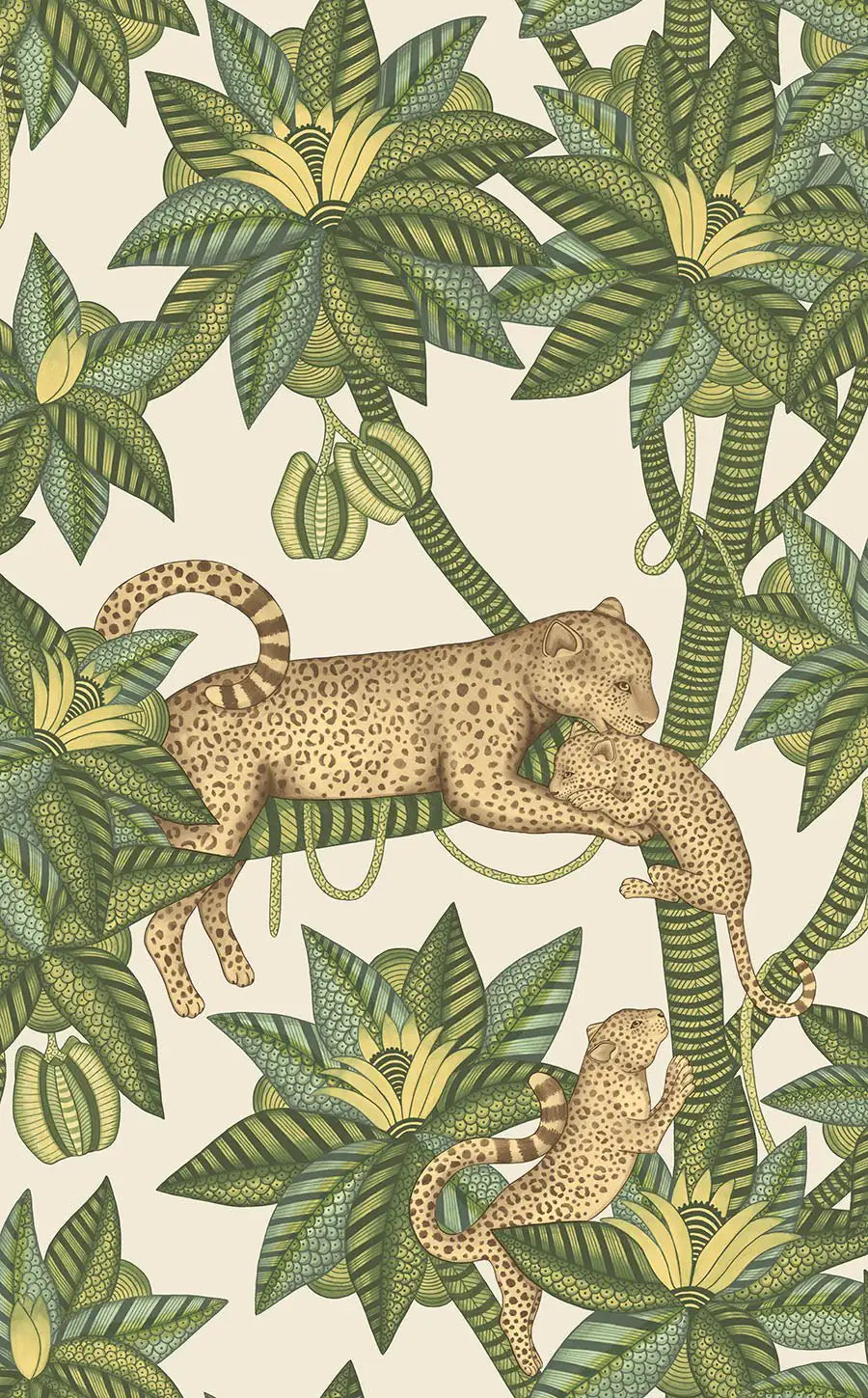 Satara Wallpaper Ardmore Design