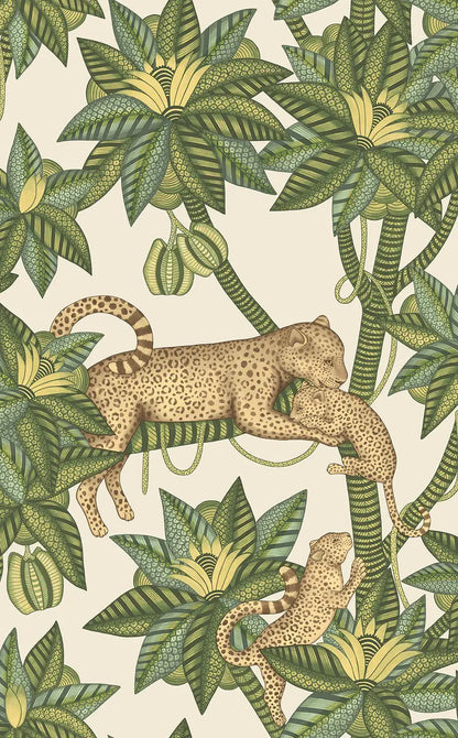 Satara Wallpaper Ardmore Design