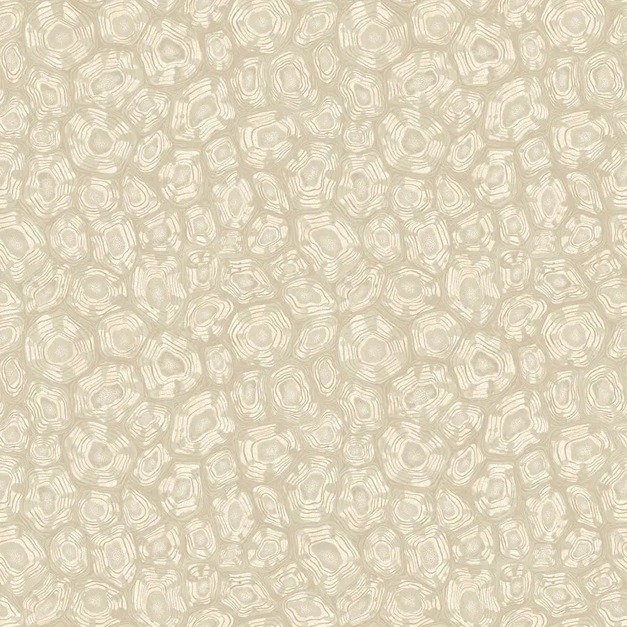 Savanna Shell Wallpaper Ardmore Design