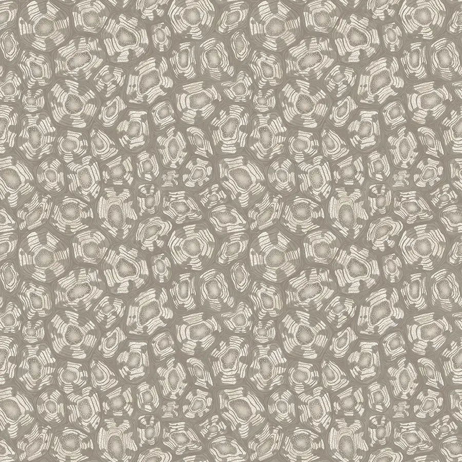 Savanna Shell Wallpaper Ardmore Design