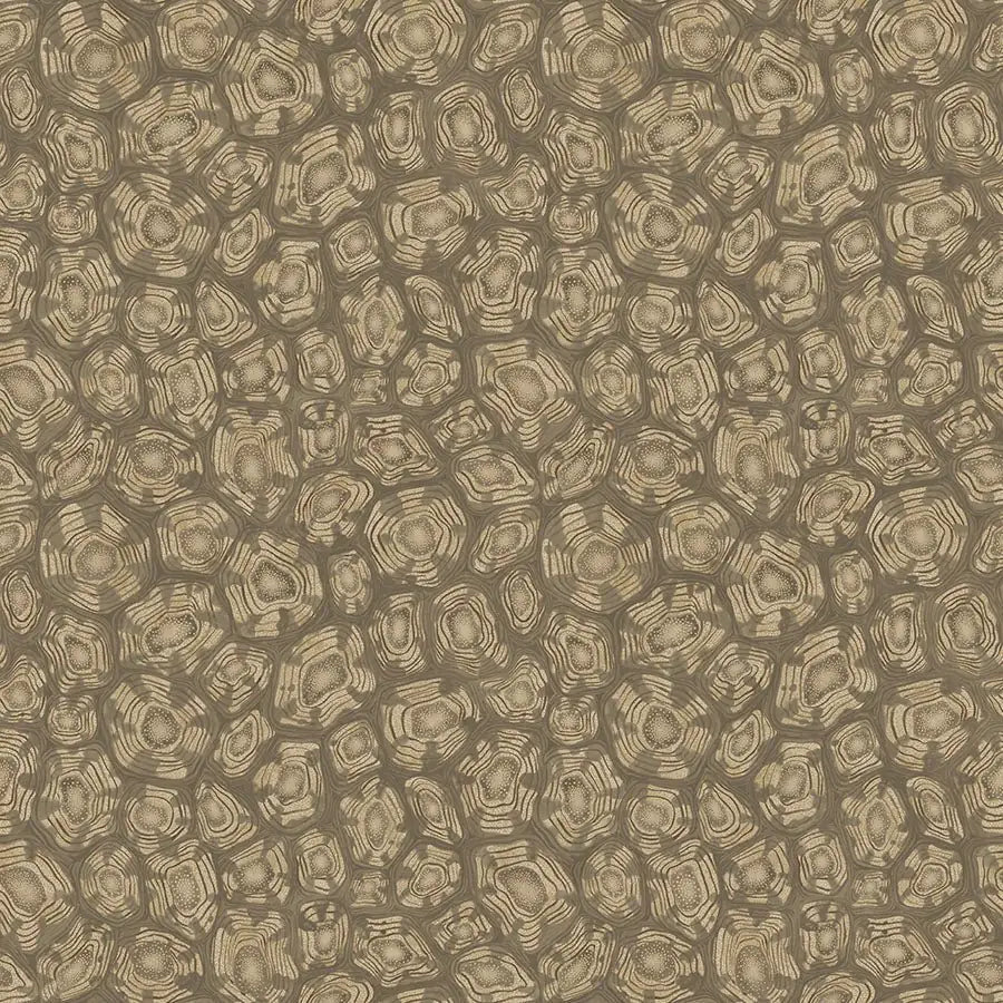 Savanna Shell Wallpaper Ardmore Design