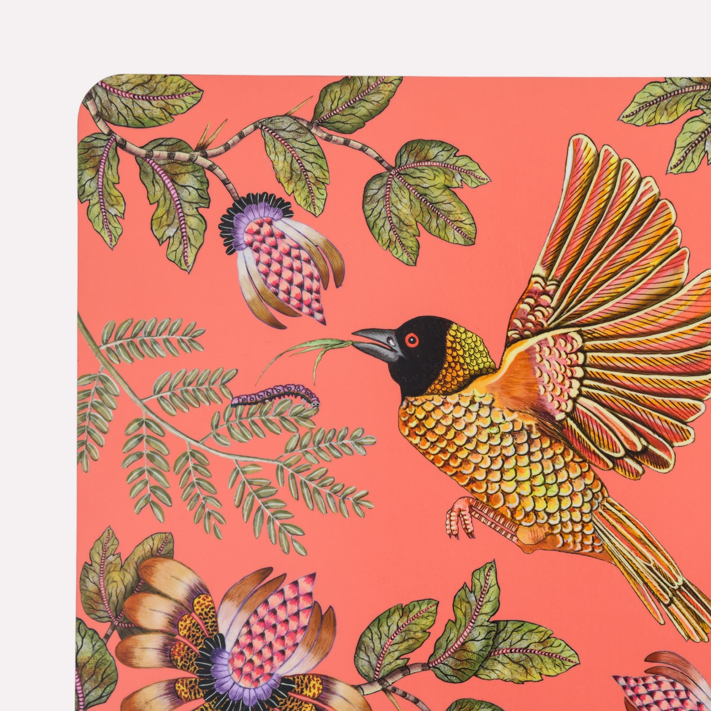 Weaver Garden Coral Pair (Hard Board Placemats)