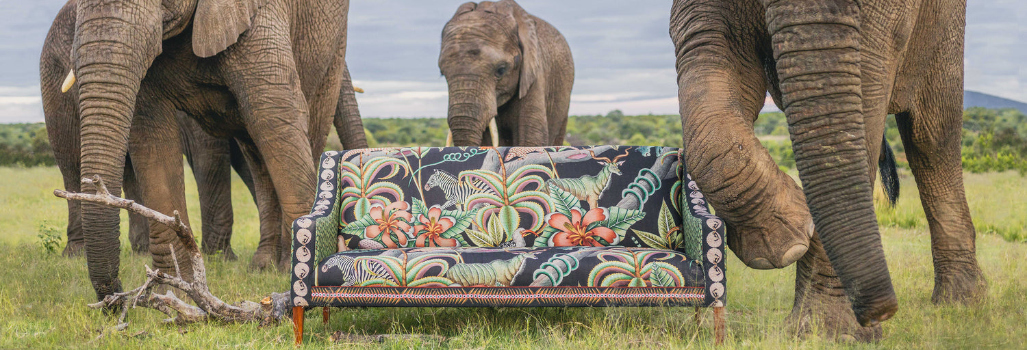 Limitedrelease, Luxury Furniture Ardmore Design Order Online