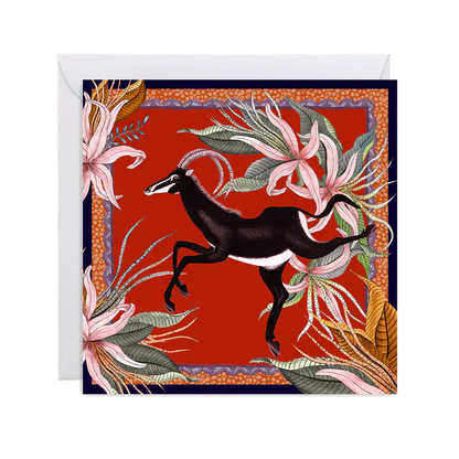Zambezi Gift Card Box Set Ardmore Design