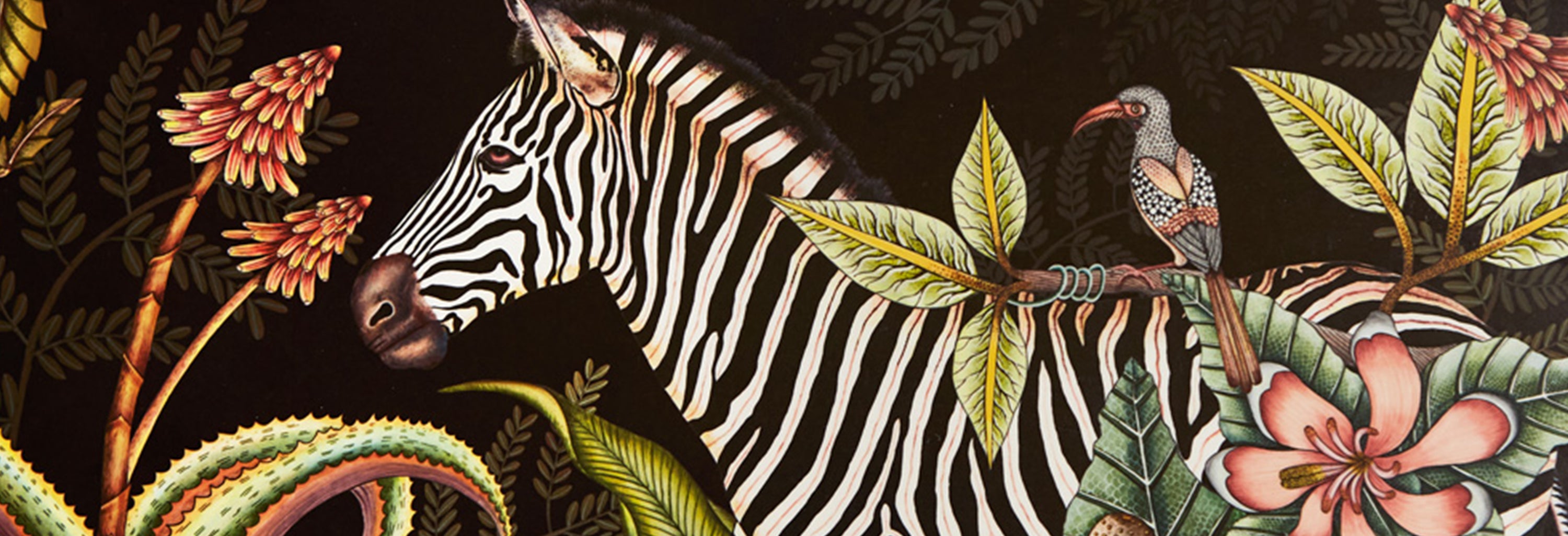 Ardmore Placemats South Africa Ardmore Design