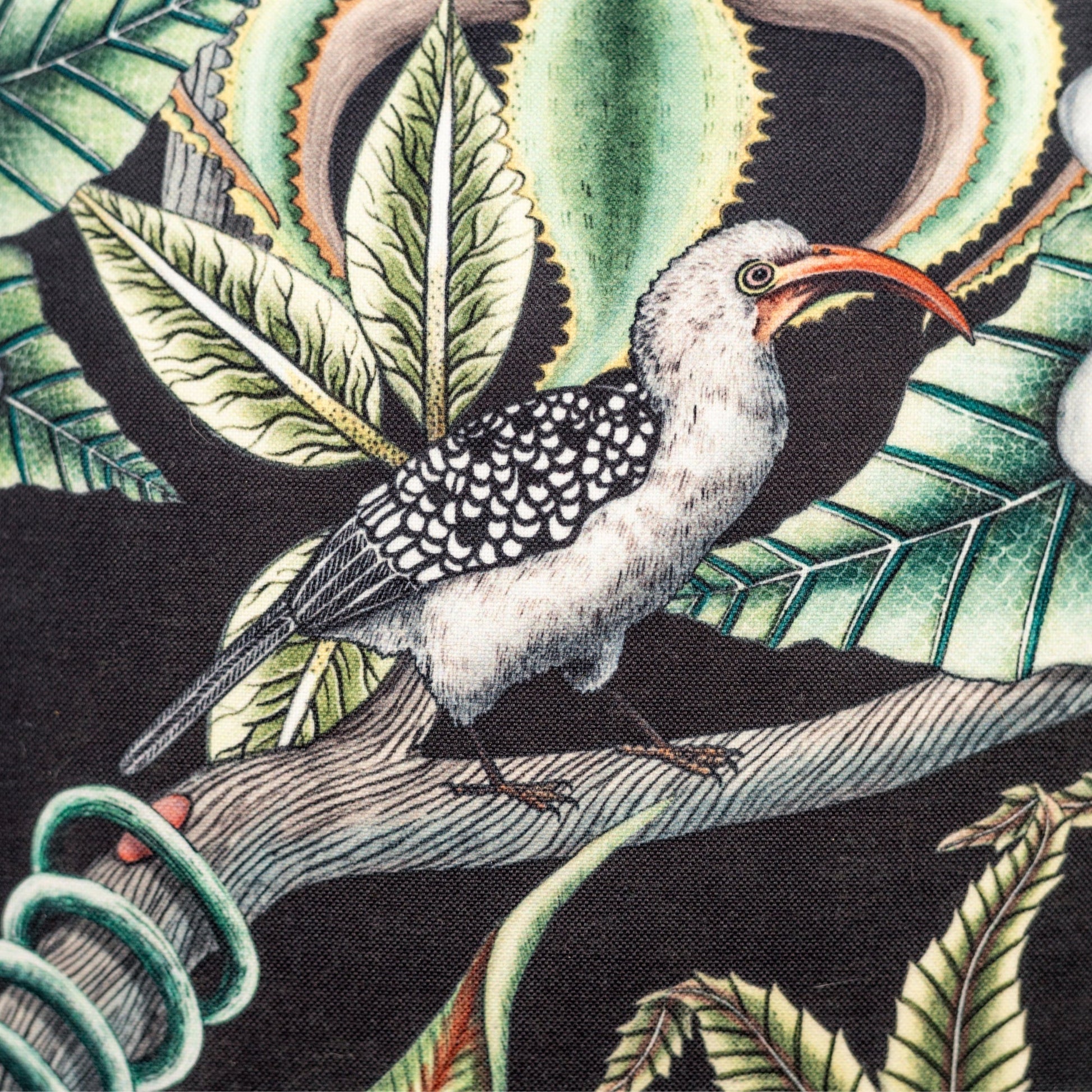 Close-up of the exquisite floral and hummingbird design on the Pangolin Park Night Outdoor Cushion Cover, highlighting its vivid details and bold colours.