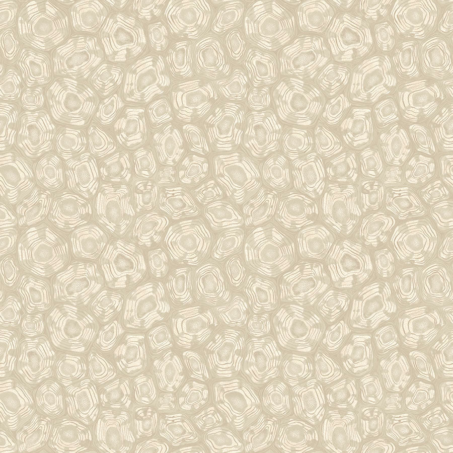 Savanna Shell Wallpaper