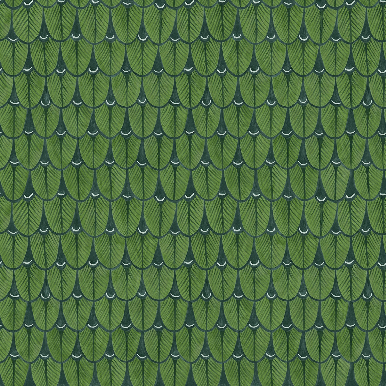 A bold, nature-inspired version with deep green hues, evoking the lush forests of South Africa.