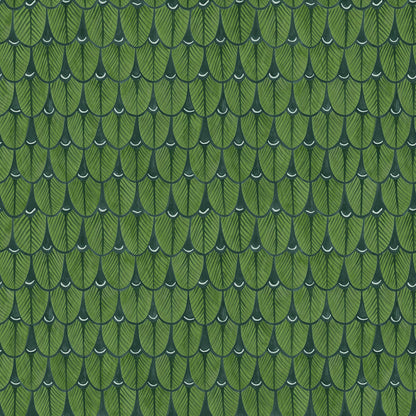 A bold, nature-inspired version with deep green hues, evoking the lush forests of South Africa.