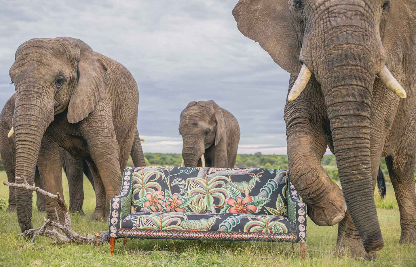 Ardmore Thanda Sofa Limited Edition in an outdoor setting, blending its African-inspired design with nature.