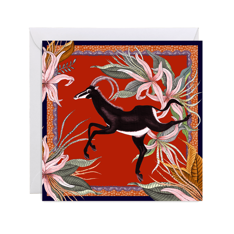 Zambezi Gift Card Box Set-Gift Cards-Ardmore Design