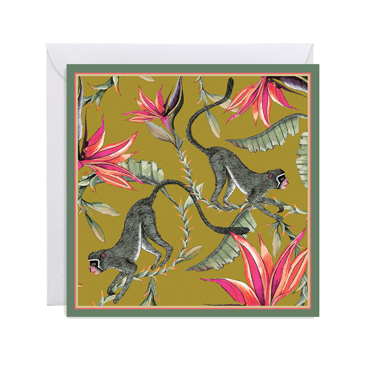 Zambezi Gift Card Box Set-Gift Cards-Ardmore Design